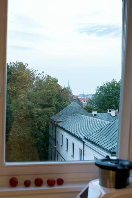 Piekne, Przestronne Mieszkanie Przy Placu Teatralnym. Apartment *